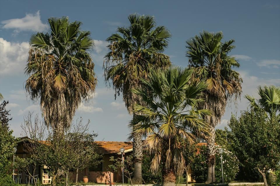 Tortuga Casa Vacanze Scarlino Esterno foto