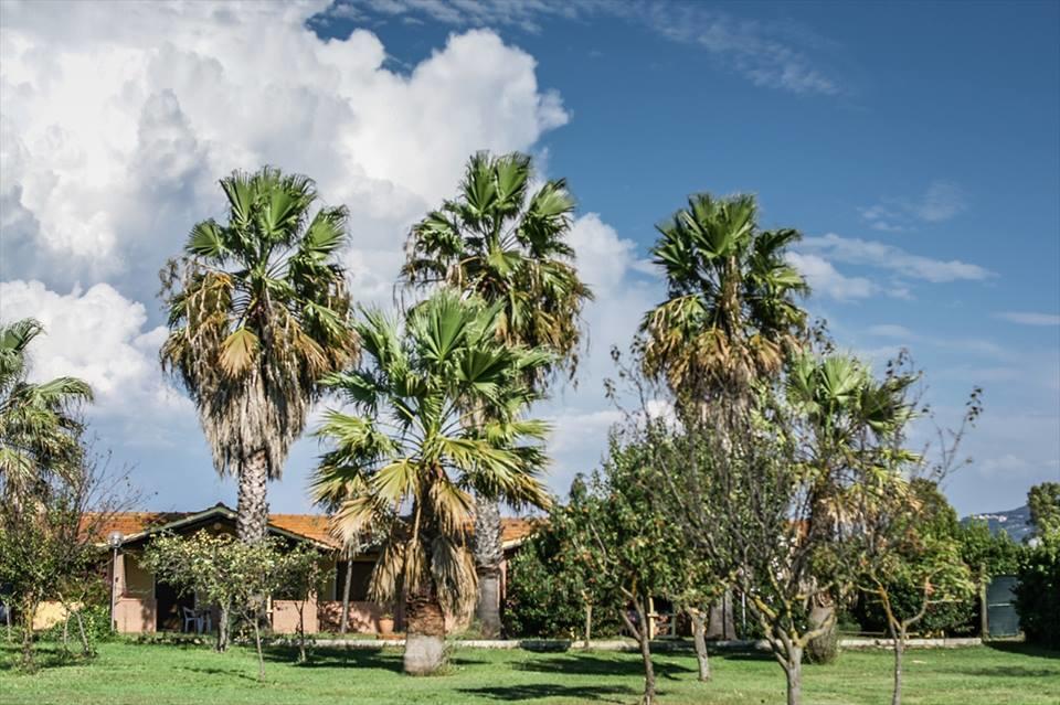 Tortuga Casa Vacanze Scarlino Esterno foto